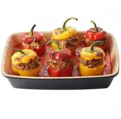 Römertopf Grillschale Lafer BBQ Medium -Geschirr boutique en ligne 04106 4