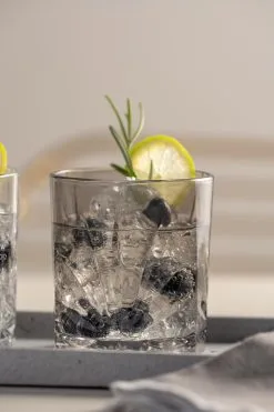 Leonardo Trinkglas CAPRI 220 Ml Grau -Geschirr boutique en ligne 221 022358 1 K