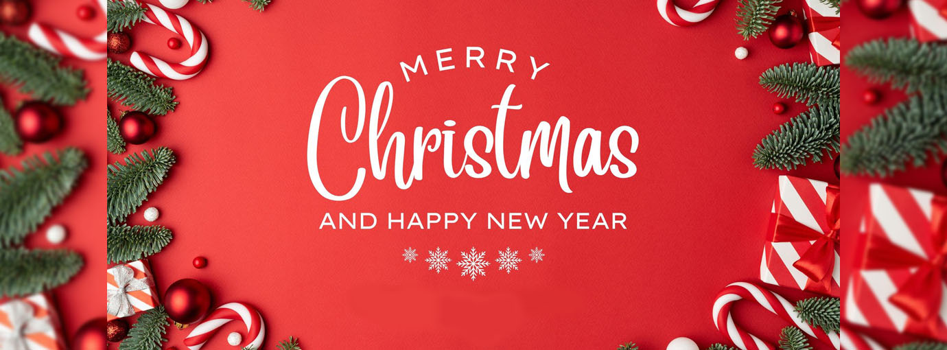 Geschirr boutique en ligne -Geschirr boutique en ligne 71 1